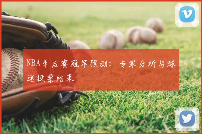 NBA季后赛冠军预测：专家分析与球迷投票结果