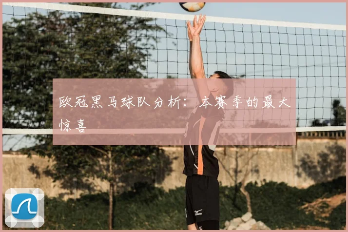 欧冠黑马球队分析：本赛季的最大惊喜